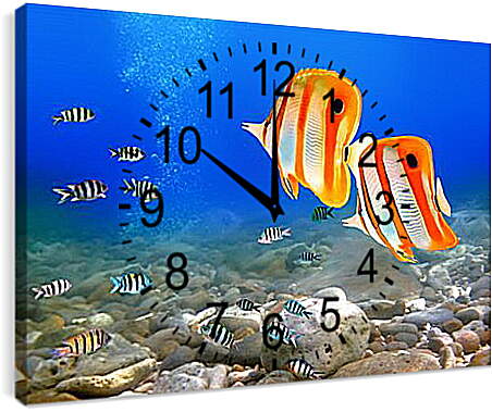 Часы картина - Коралловые рыбки