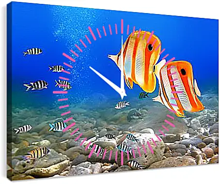 Часы картина - Коралловые рыбки