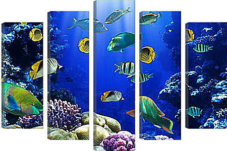 Модульная картина - Рыбки и кораллы
