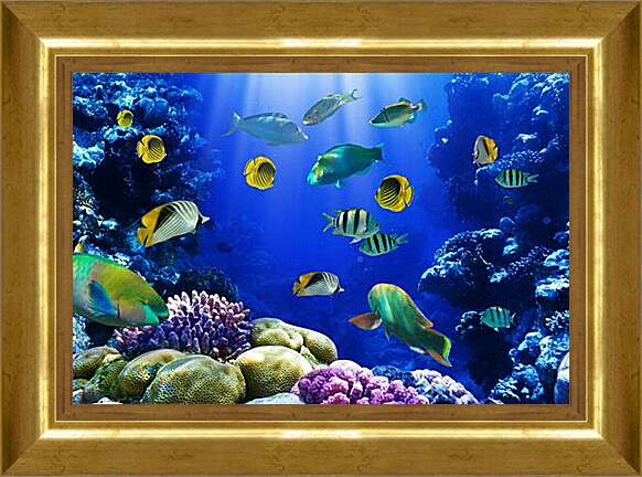 Картина в раме - Рыбки и кораллы