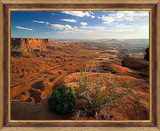 Картина в раме - canyon - Каньон
