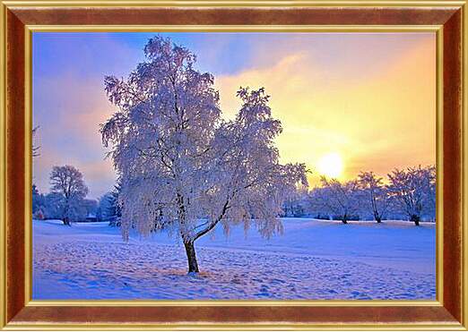 Картина в раме - Замёрзшее одинокое дерево