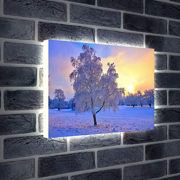 Лайтбокс световая панель - Замёрзшее одинокое дерево