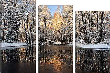 Модульная картина - Немного снега в лесу