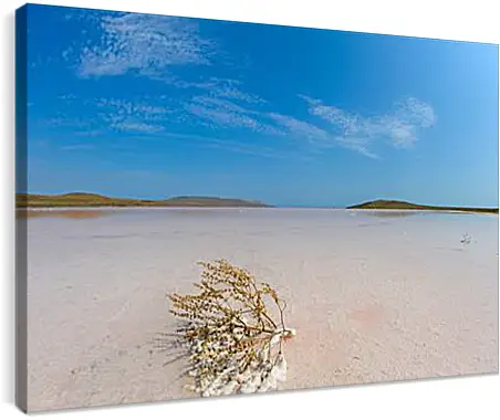 Постер и плакат - lake Koyashskoe - Озеро Кояшское
