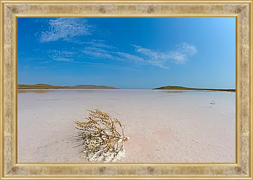 Картина в раме - lake Koyashskoe - Озеро Кояшское
