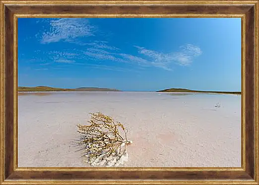 Картина в раме - lake Koyashskoe - Озеро Кояшское
