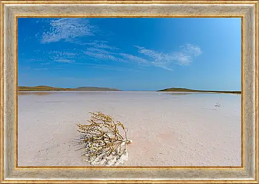 Картина в раме - lake Koyashskoe - Озеро Кояшское
