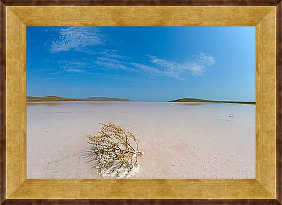 Картина в раме - lake Koyashskoe - Озеро Кояшское
