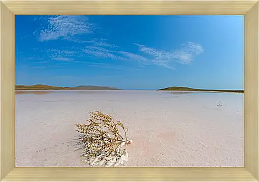 Картина в раме - lake Koyashskoe - Озеро Кояшское
