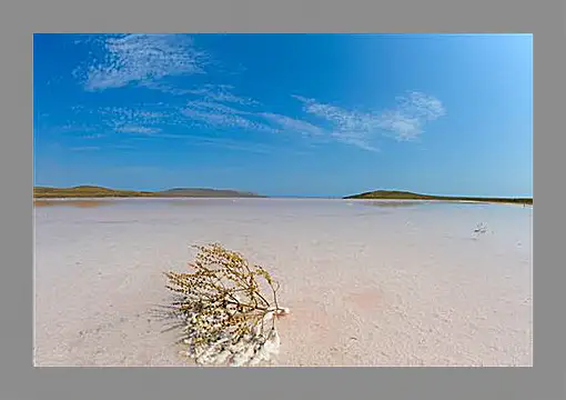 Картина в раме - lake Koyashskoe - Озеро Кояшское
