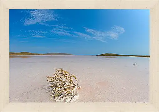 Картина в раме - lake Koyashskoe - Озеро Кояшское
