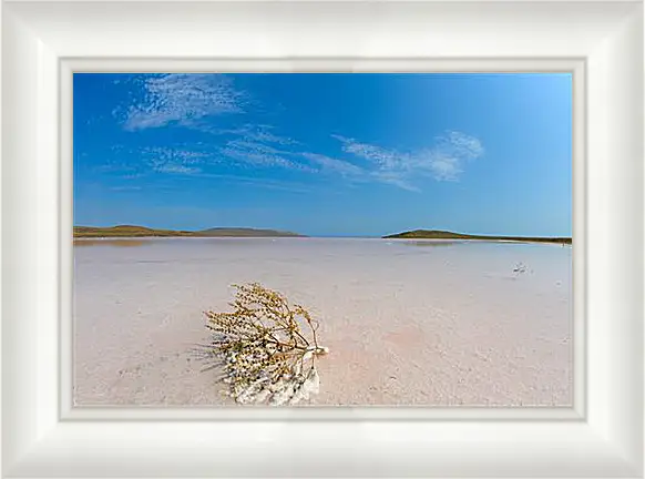 Картина в раме - lake Koyashskoe - Озеро Кояшское
