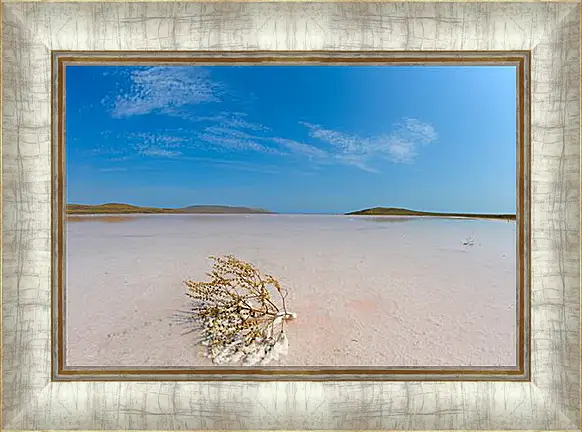 Картина в раме - lake Koyashskoe - Озеро Кояшское
