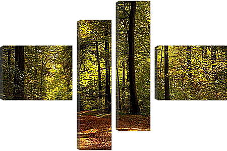 Модульная картина - лес
