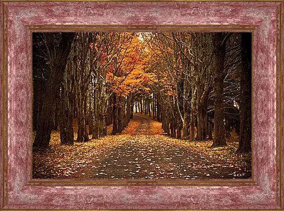 Картина в раме - лес
