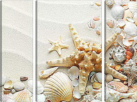 Модульная картина - Морская звезда на пляже