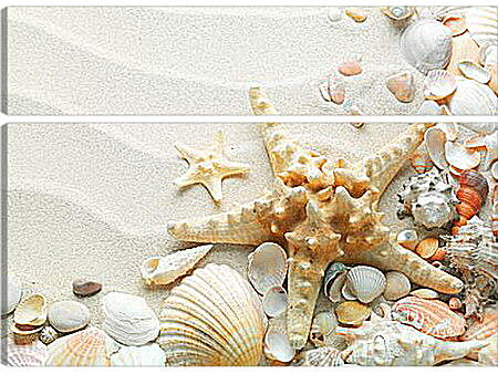 Модульная картина - Морская звезда на пляже