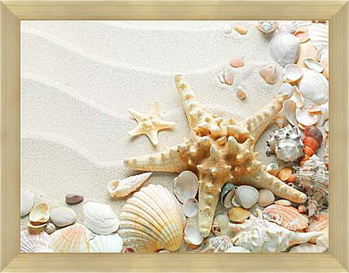 Картина в раме - Морская звезда на пляже