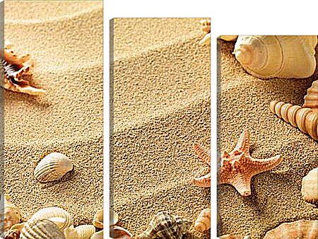 Модульная картина - Ракушки на пляже