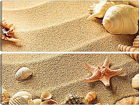 Модульная картина - Ракушки на пляже