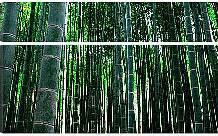 Модульная картина - бамбук
