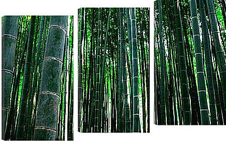 Модульная картина - бамбук
