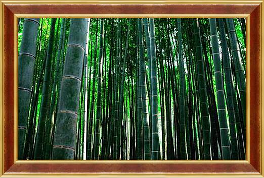 Картина в раме - бамбук
