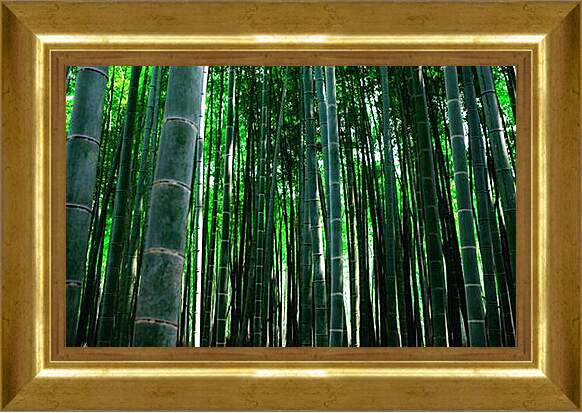 Картина в раме - бамбук
