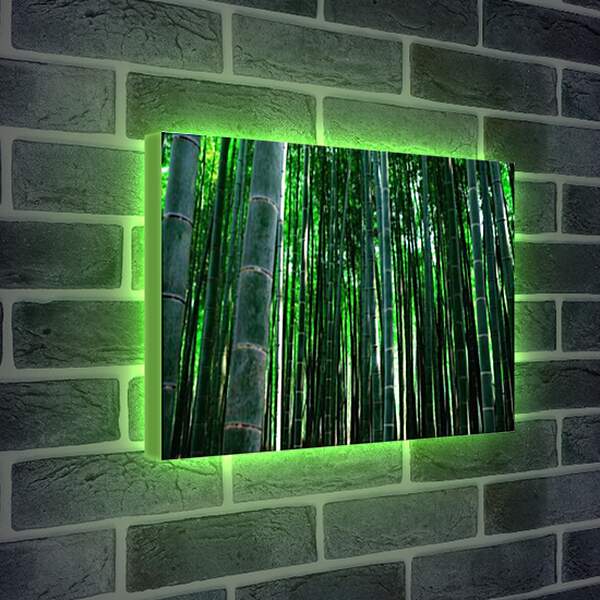 Лайтбокс световая панель - бамбук
