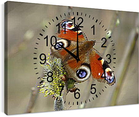 Часы картина - butterfly - Бабочка
