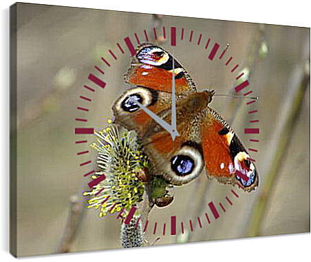 Часы картина - butterfly - Бабочка
