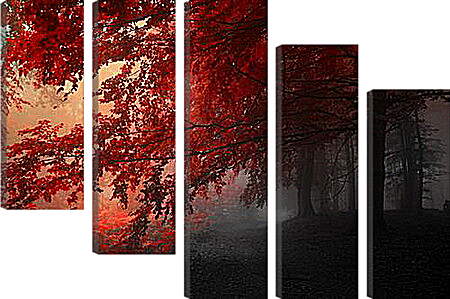 Модульная картина - Красная осень