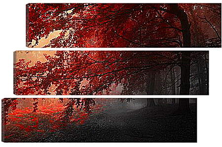 Модульная картина - Красная осень