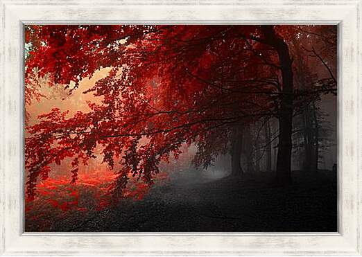 Картина в раме - Красная осень