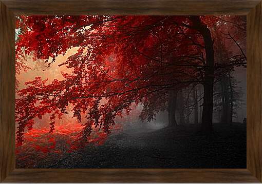 Картина в раме - Красная осень