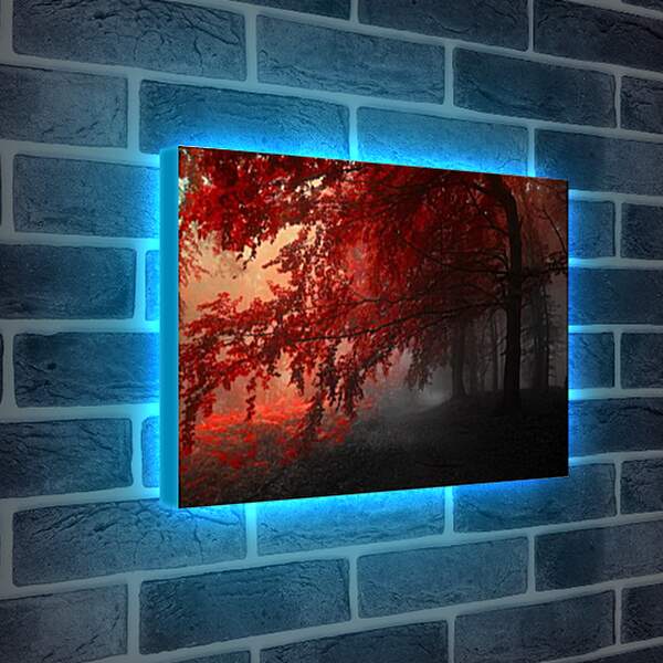 Лайтбокс световая панель - Красная осень