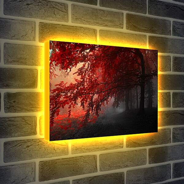 Лайтбокс световая панель - Красная осень