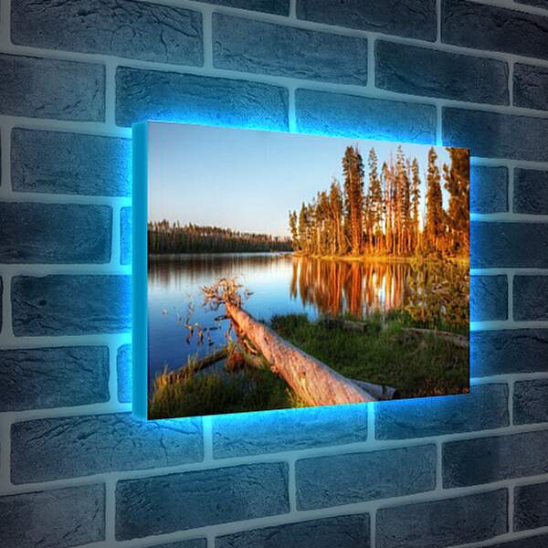 Лайтбокс световая панель - тихое озеро
