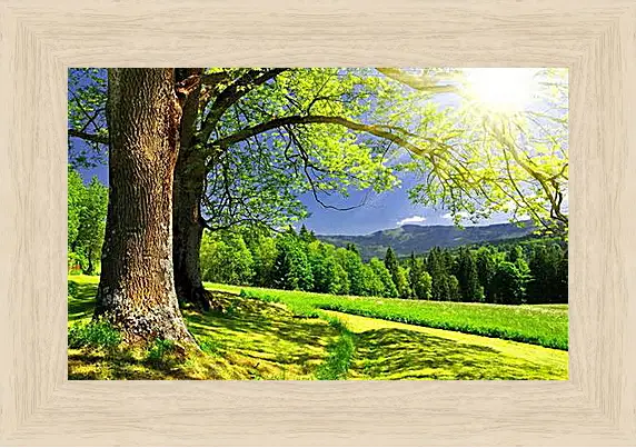 Картина в раме - Nature - Природа

