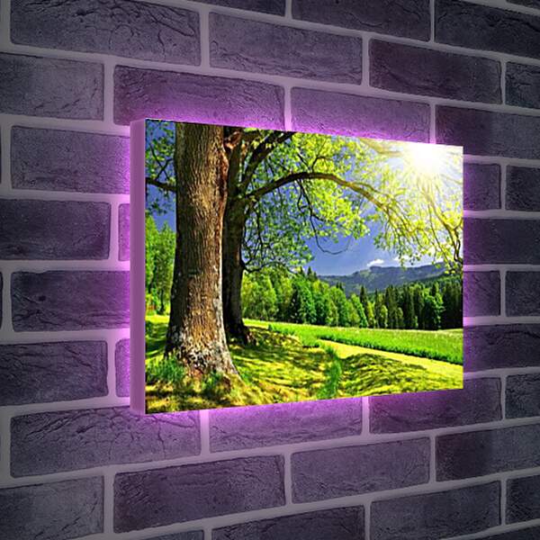 Лайтбокс световая панель - Nature - Природа
