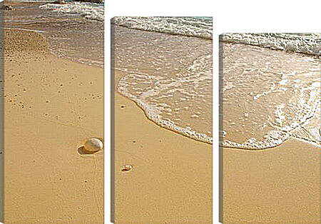 Модульная картина - Sea shore - Морской берег