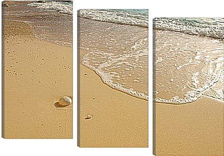 Модульная картина - Sea shore - Морской берег