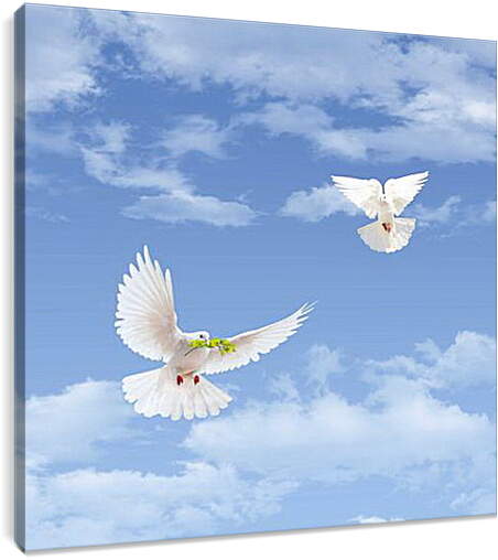 Постер и плакат - Sky with goubyami - Небо с гоубями