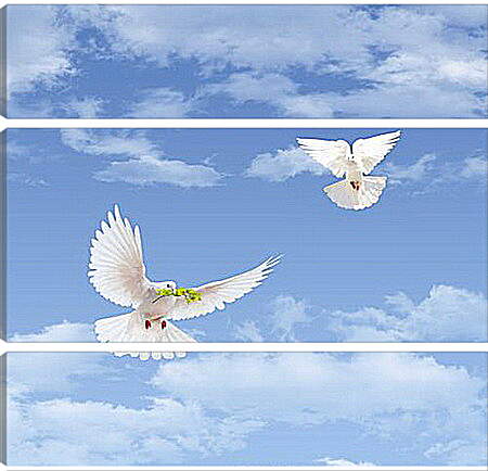 Модульная картина - Sky with goubyami - Небо с гоубями