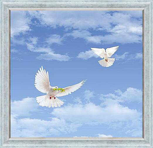 Картина в раме - Sky with goubyami - Небо с гоубями