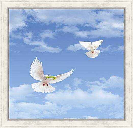 Картина в раме - Sky with goubyami - Небо с гоубями