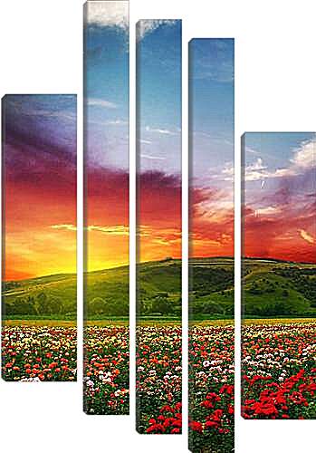 Модульная картина - Цветочное поле на закате