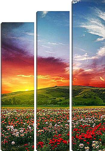 Модульная картина - Цветочное поле на закате