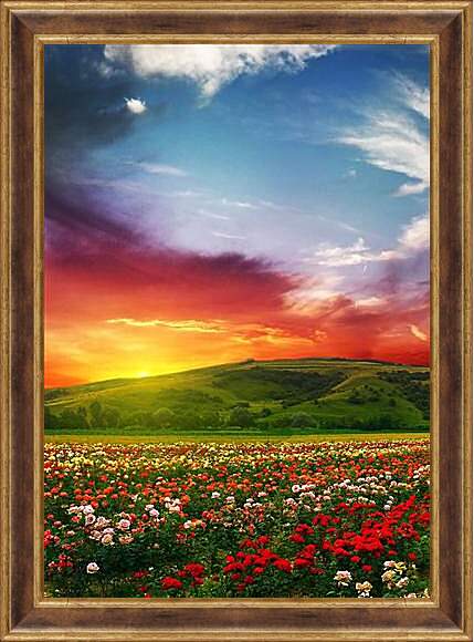 Картина в раме - Цветочное поле на закате